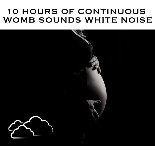10 Hours of Continuous Womb Sounds White Noise