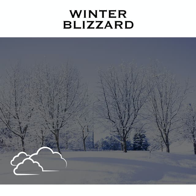 Winter Blizzard