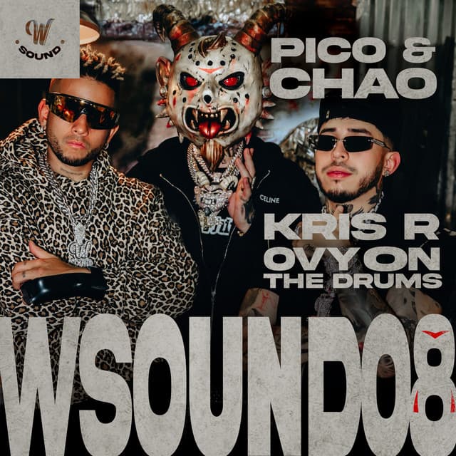 Pico Y Chao (W Sound 08)