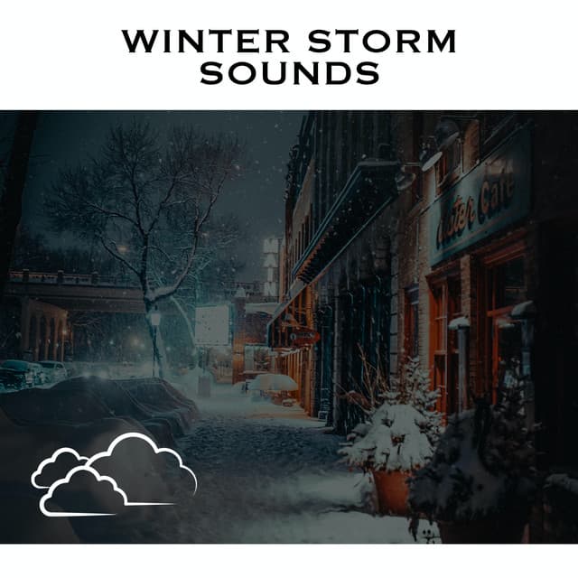 Winter Storm Sounds