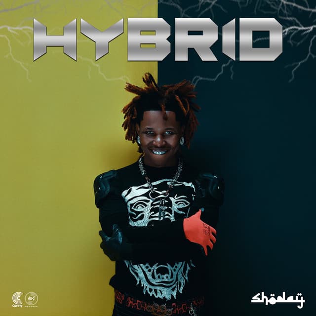 HYBRID