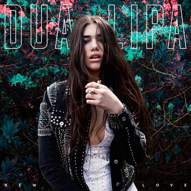 New Love - Acapella