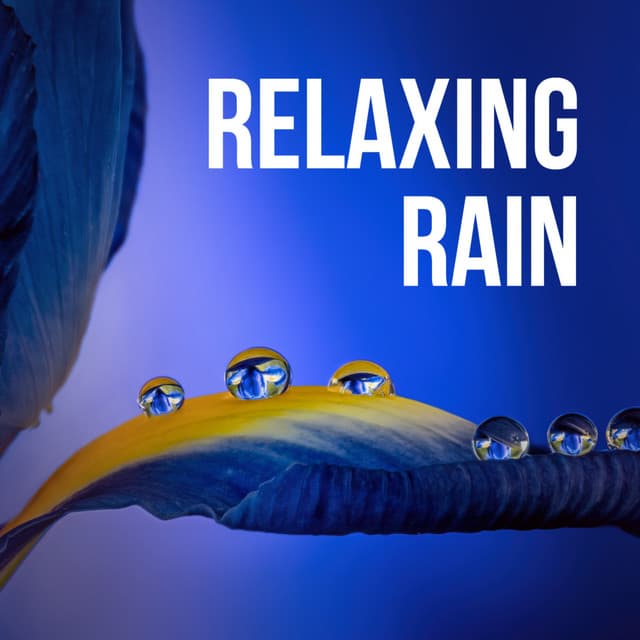 Relaxing Rain