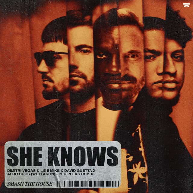 She Knows (with Akon) - Per Pleks Remix