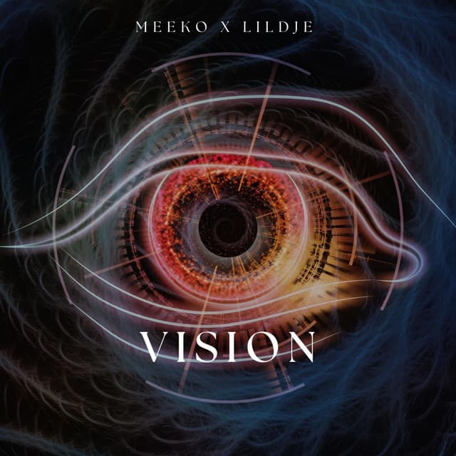 Vision