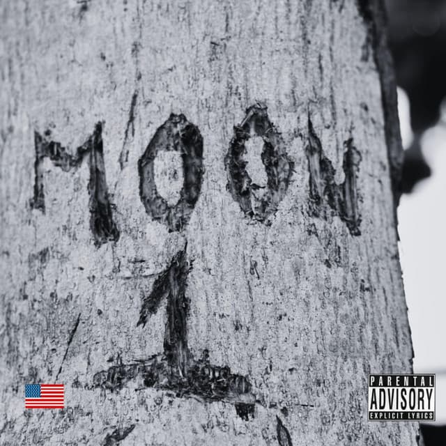 MOON 1