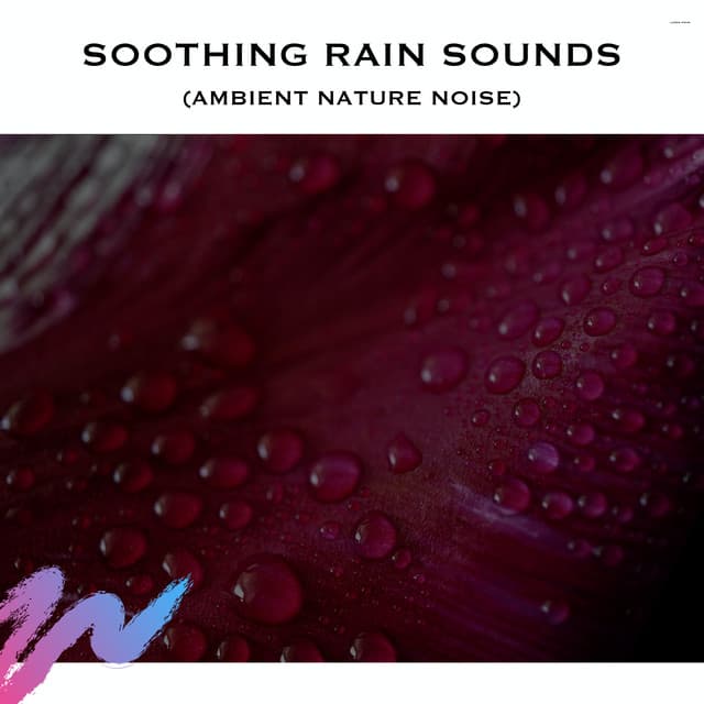 Soothing Rain Sounds (Ambient Nature Noise)