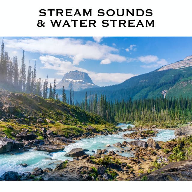 Stream Sounds & Water Stream