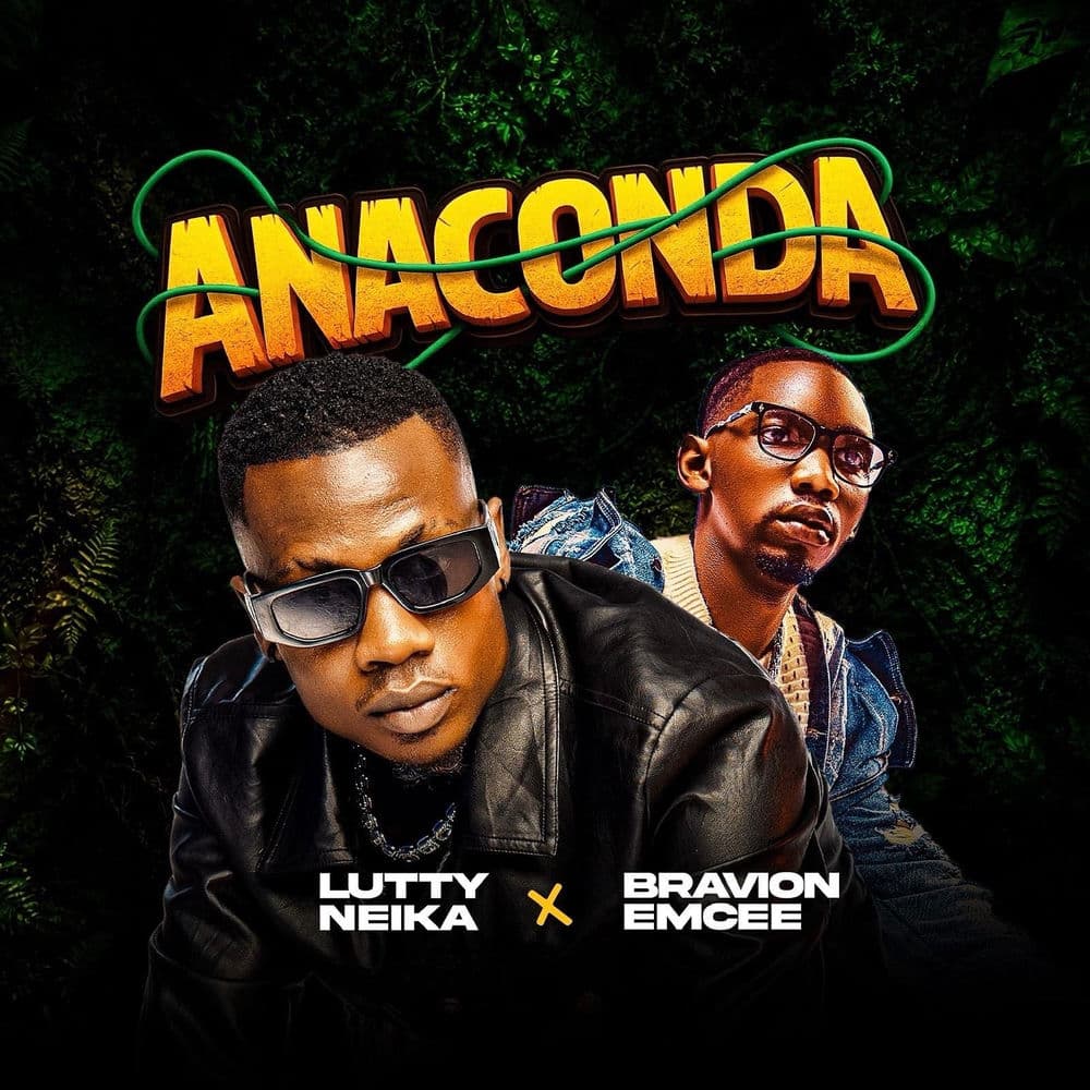 Anaconda (feat. Bravion Emcee)