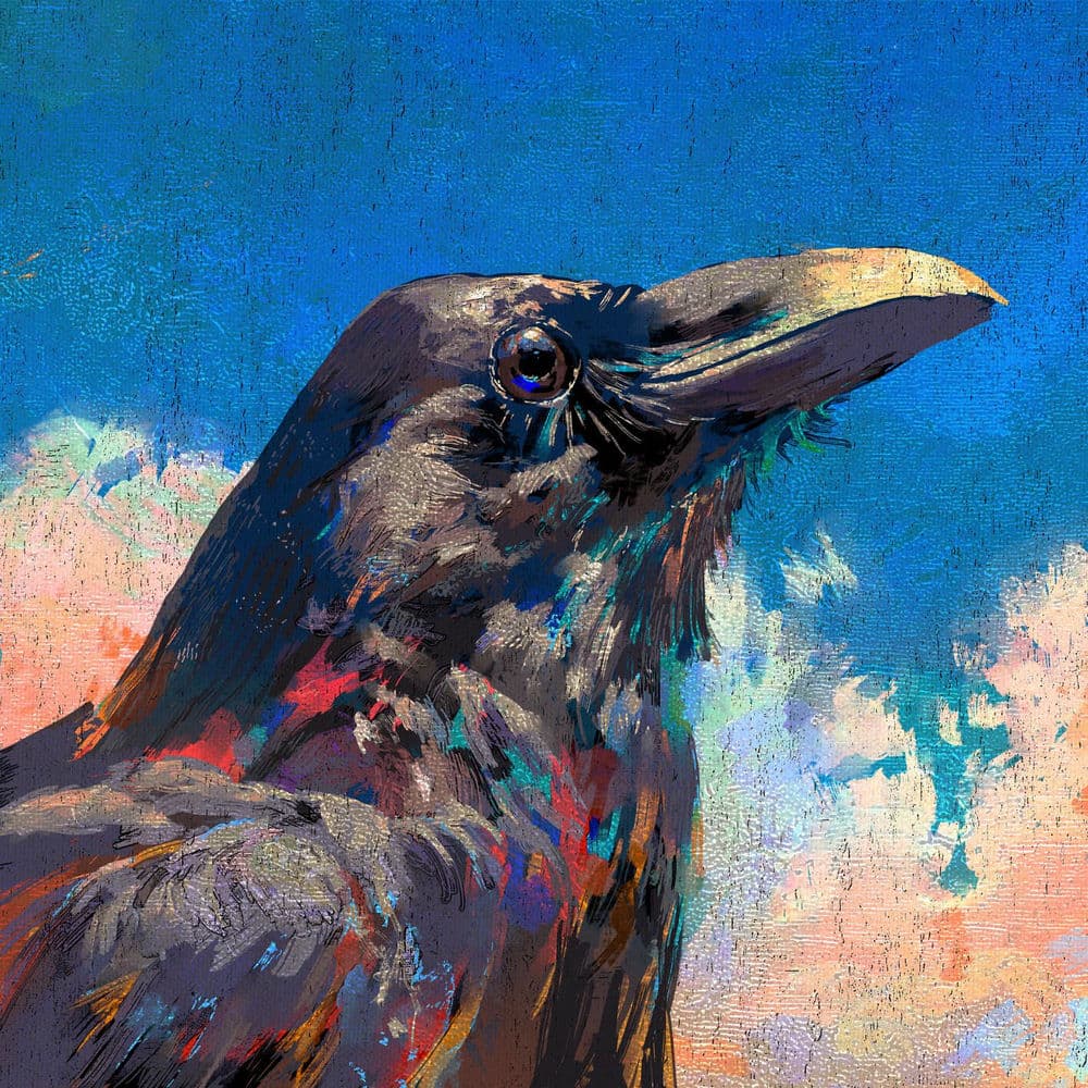 Karasu - Raven