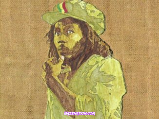 Bob Marley - Who The Cap Fit Mp3 Download