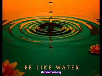 RZA - Be Like Water Mp3 Download