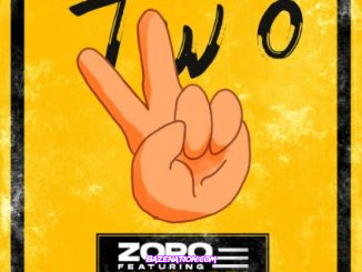 Zoro Ft. Mayorkun – Two (Remix) Mp3 Download