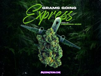 Nino Man - Grams Going Express (feat. Sheek Louch & Styles P) Mp3 Download