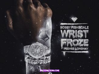 Bobby Fishscale & Peewee Longway - Wrist Froze Mp3 Download