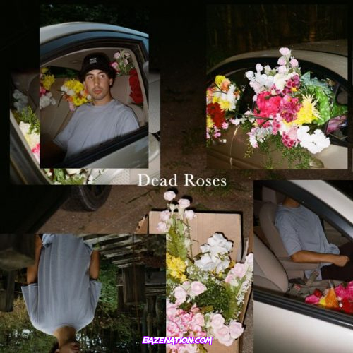 Ollie – Dead Roses Mp3 Download