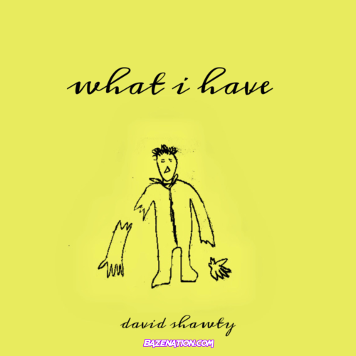 David Shawty - What I Have Mp3 Download