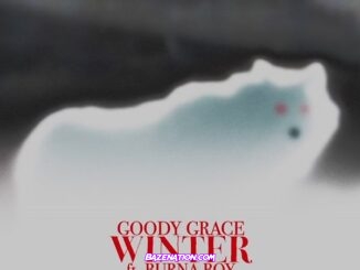 Goody Grace - Winter ft. Burna Boy Mp3 Download