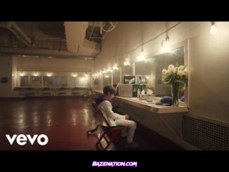 DOWNLOAD VIDEO: Justin Bieber & benny blanco - Lonely
