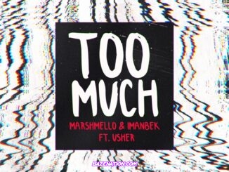 Marshmello & Imanbek – Too Much ft. Usher Mp3 Download