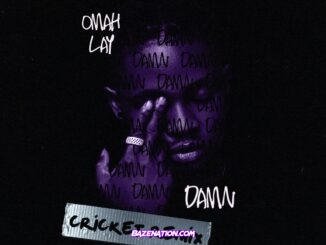 Omah Lay – Damn (Cricket Remix) Mp3 Download