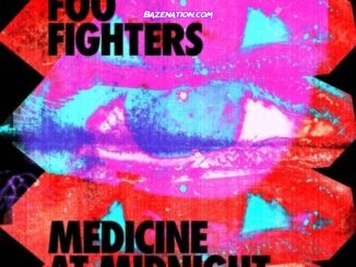 Foo Fighters – Shame Shame Mp3 Download