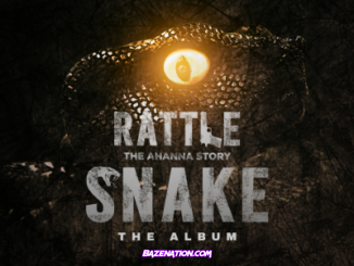 Larry Gaaga - Rattle Snake (feat. Marvio) Mp3 Download
