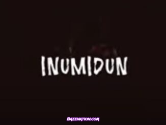 DOWNLOAD VIDEO: Skales – Inumidun