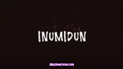 DOWNLOAD VIDEO: Skales – Inumidun