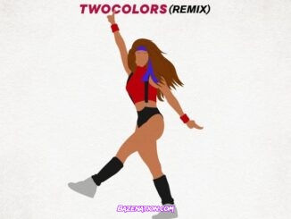 Black Eyed Peas - Girl Like Me (Twocolors Remix) ft. Shakira Mp3 Download