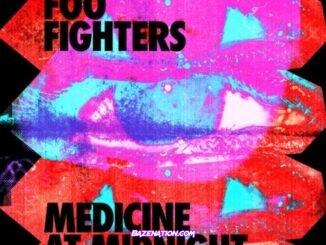 Foo Fighters – Cloudspotter Mp3 Download