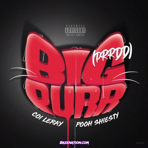 Coi Leray & Pooh Shiesty - BIG PURR Mp3 Download