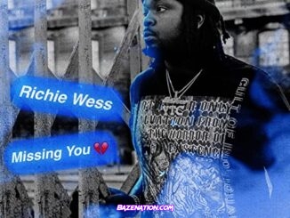Richie Wess - Missing You Mp3 Download