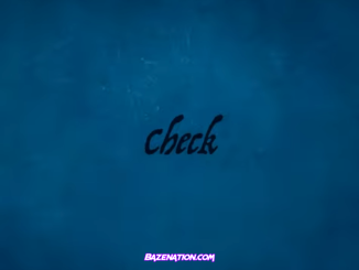 StarBoy – Check ft. Wizkid Mp3 Download