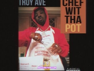 Troy Ave - Chef Wit Tha Pot Mp3 Download