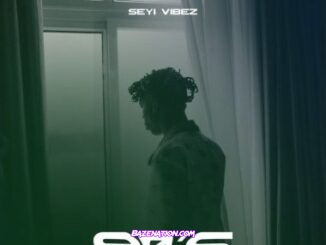 Seyi Vibez – 90’s Mp3 Download