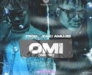 Trod - OMI (Water) Ft. Zaki Amujei Mp3 Download