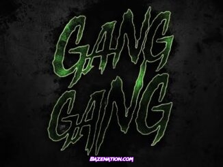 Polo G & Lil Wayne – Gang Gang Mp3 Download