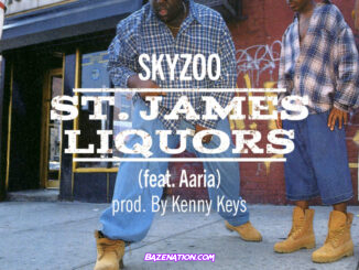 Skyzoo - St. James Liquors (feat. Aaria) Mp3 Download