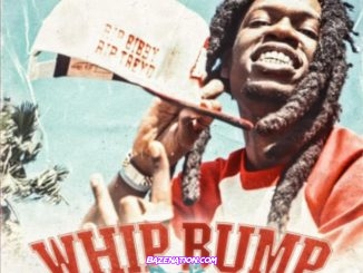 Foolio - Whip Bump MP3 Download