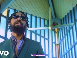 DOWNLOAD VIDEO: Phyno – Bia