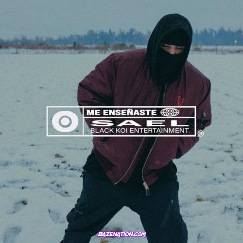 Sael – Me Enseñaste Mp3 Download