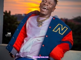 Shatta Wale – I Don’t Care Mp3 Download