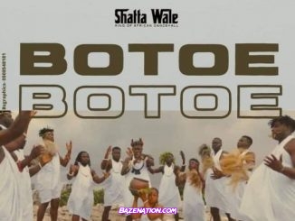 Shatta Wale - Botoe (Listen) Mp3 Download