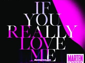 David Guetta, MistaJam, John Newman - If You Really Love Me (How Will I Know) (Marten Hørger Remix Extended) Mp3 Download