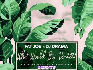 Fat Joe, DJ Drama & Cool & Dre – What Would Big Do 2021 Download Album Zip