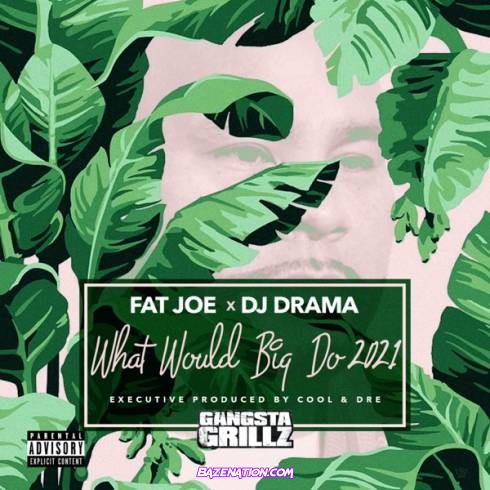 Fat Joe & DJ Drama – Back Outside (Ft. Cool & Dre, Remy Ma) Mp3 Download