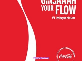 Mayorkun – Ginjaaah Your Flow Mp3 Download