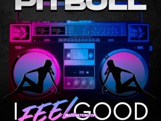 Pitbull – I Feel Good (feat. Anthony Watts & DJWS) Mp3 Download