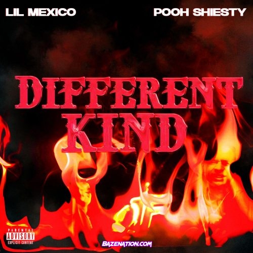 Lil Mexico & Pooh Shiesty - Different Kind Mp3 Download